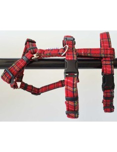 arnes-algodon-piccolo