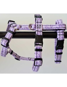 arnes-algodon-piccolo