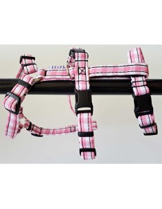 arnes-algodon-piccolo