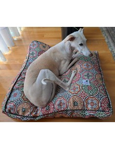 cama-especial-galgo