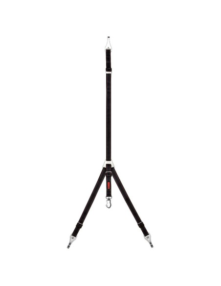 enganche-seguridad-auto-perro-kong