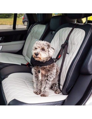 enganche-seguridad-auto-perro-kong