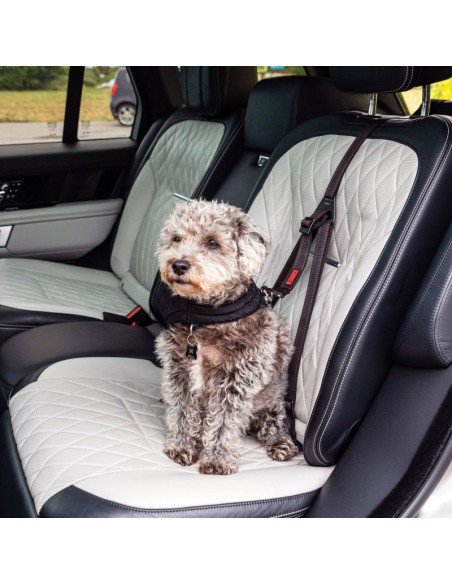 enganche-seguridad-auto-perro-kong