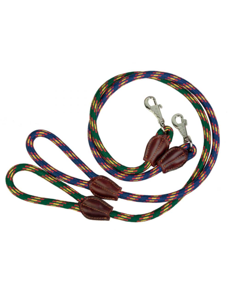 correa-perro-cordon-bandera
