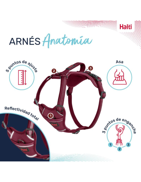 arnes-halti-anatomy