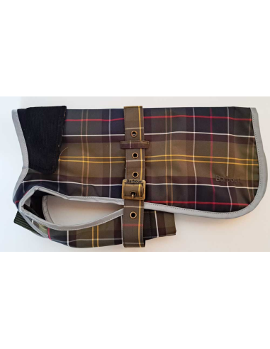 barbour-perro