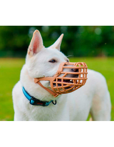 bozar-baskerville-classic