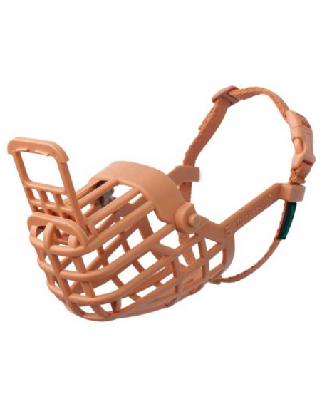 bozar-baskerville-classic