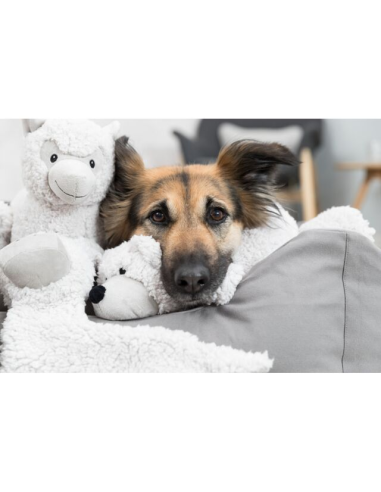 juguete-perro-peluche-burrito