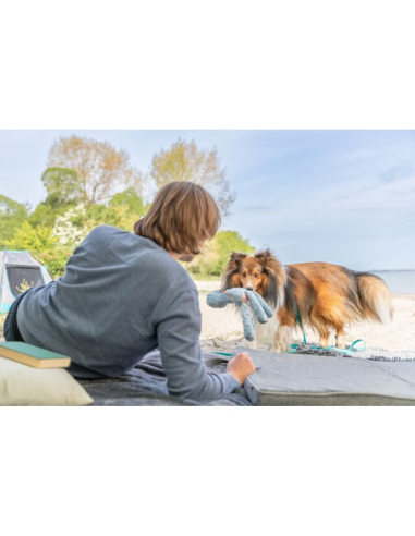 juguete-perro-peluche