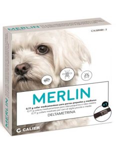 COLLAR-PERRO-MERLIN