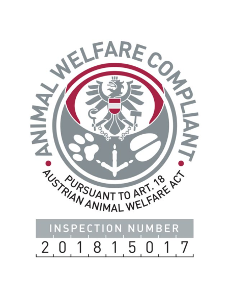 juguete-educativo-perro-alfombra-olfatear