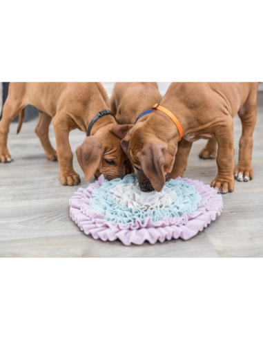 juguete-educativo-perro-alfombra-olfatear