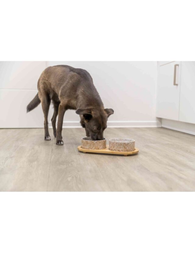 comedero-ceramico-perro