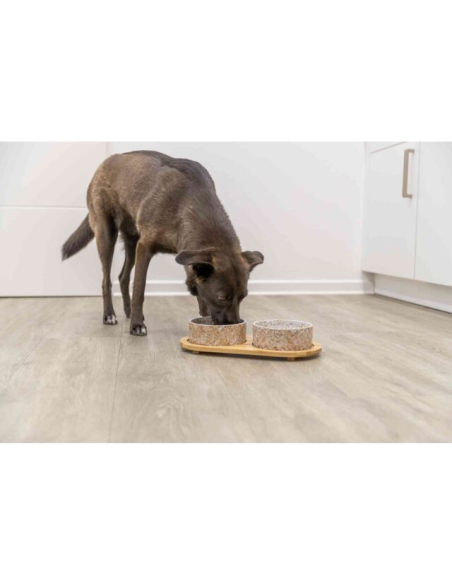 comedero-ceramico-perro