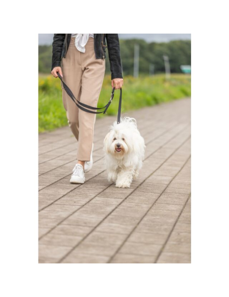 ramal-nylon-3-posiciones-azul