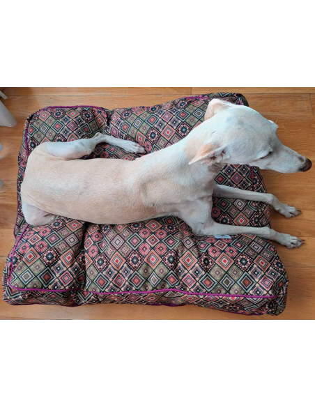 cama-especial-galgo
