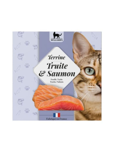 tarrina-gato-trucha-salmon