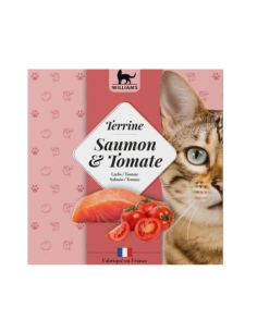 tarrina-gato-salmon-tomate