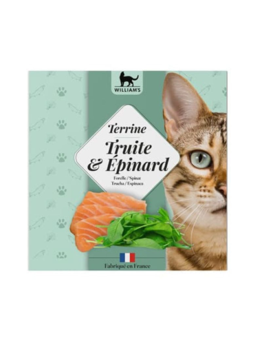 tarrina-gato-trucha-espinaca