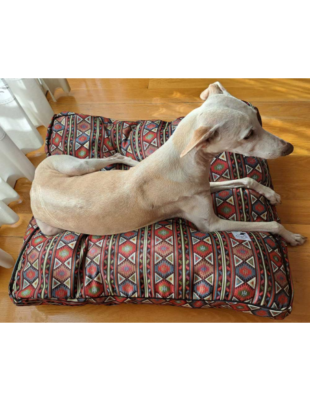 cama-especial-galgo