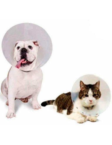 collar-isabelino-perro-gato