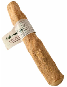 snack-perro-palo-cafe