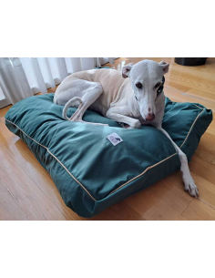 cama-especial-galgo