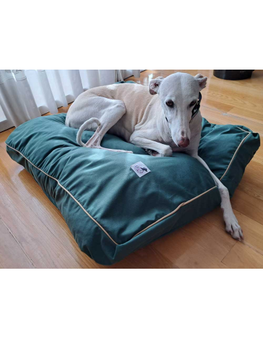cama-especial-galgo