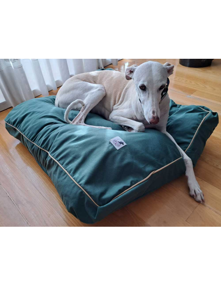 cama-especial-galgo