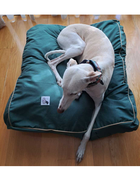 cama-especial-galgo