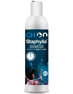 staphylia-champu