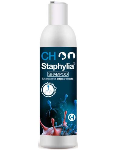staphylia-champu