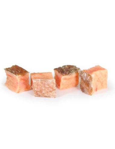 snack-perro-cubito-salmon
