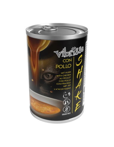 comida-humeda-gato