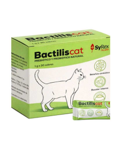 bactilis-gato