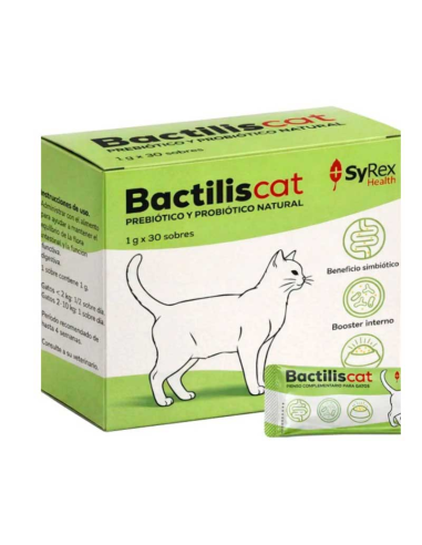 bactilis-gato