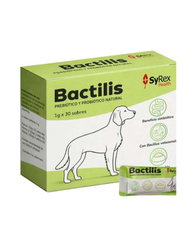 bactilis-perro