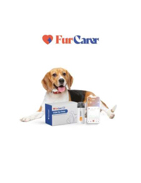 medidor-continuo-glucosa-perro-gato