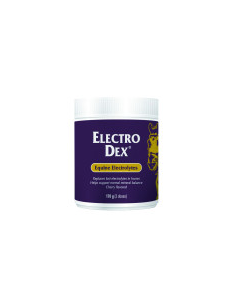 electro-dex-caballo