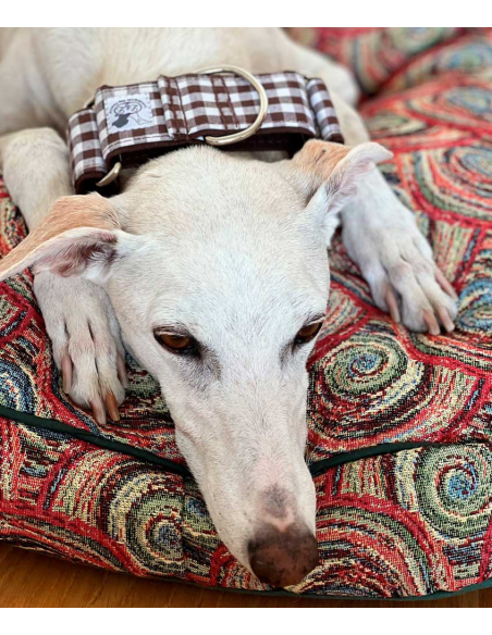 collar-galgo-algodon