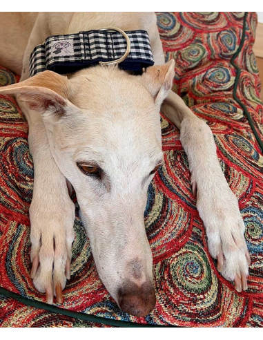collar-galgo-algodon