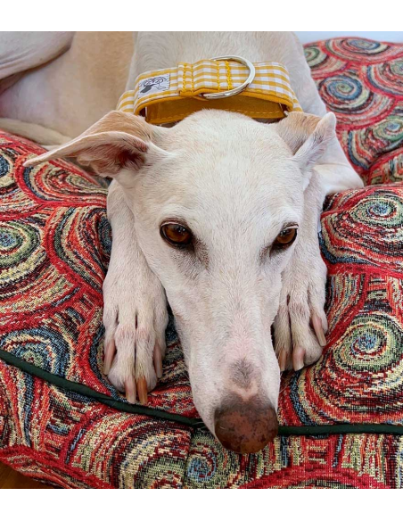 collar-galgo-algodon