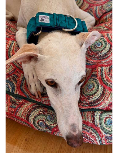 collar-galgo-algodon