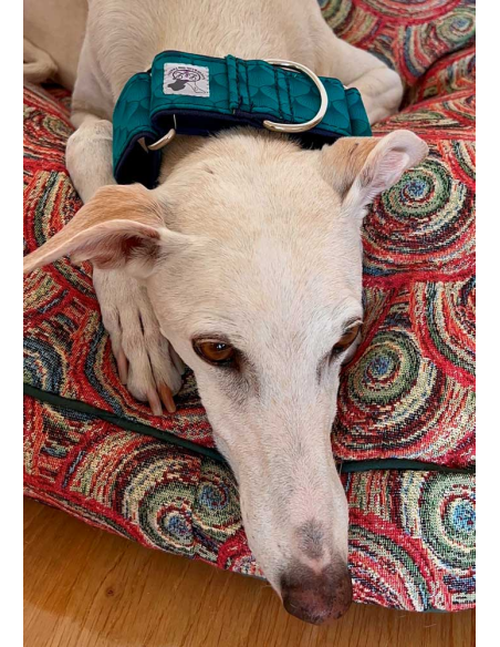 collar-galgo-algodon