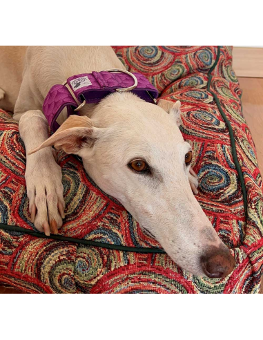 collar-galgo-algodon