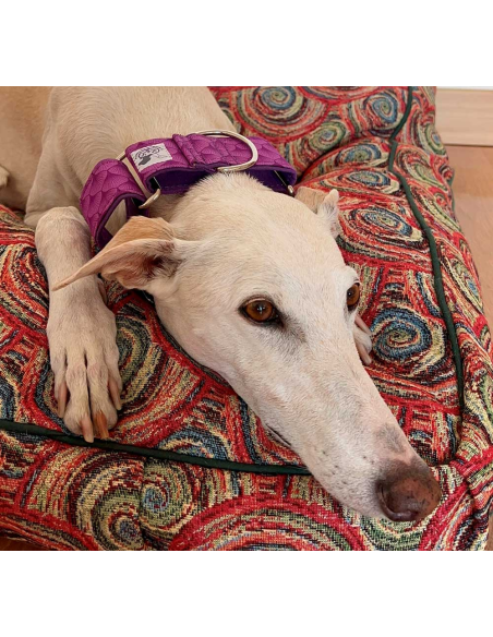 collar-galgo-algodon