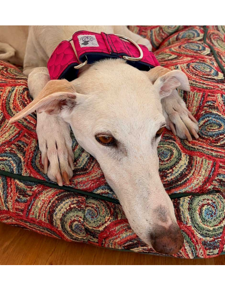 collar-galgo-algodon