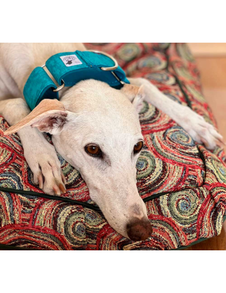 collar-galgo-algodon