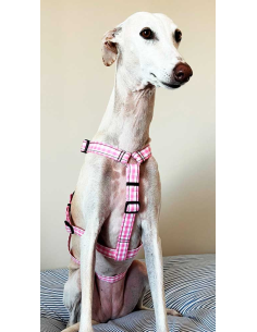 arnes-algodon-antiescape-galgo